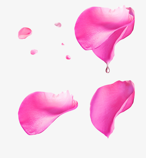 粉色花瓣元素免抠