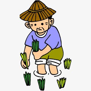 辛苦插秧的老农民免抠