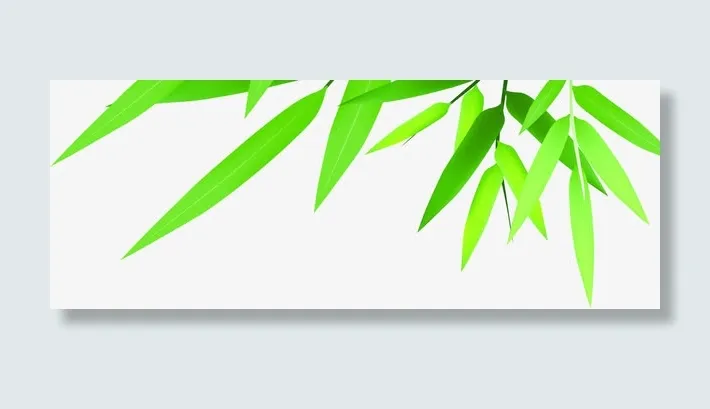 竹叶绿叶端午节点缀免抠