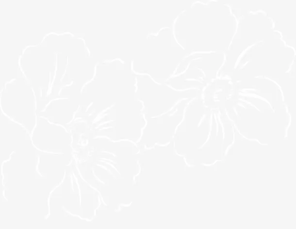 白色手绘花免抠