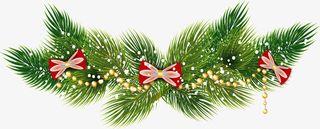 圣诞节松树枝横幅免抠