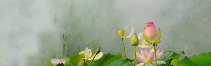 女装海报背景高清