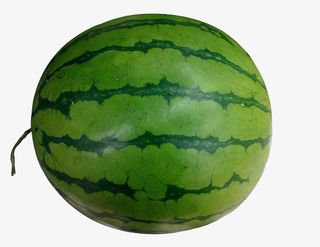 西瓜，绿色的西瓜，一个西瓜免抠
