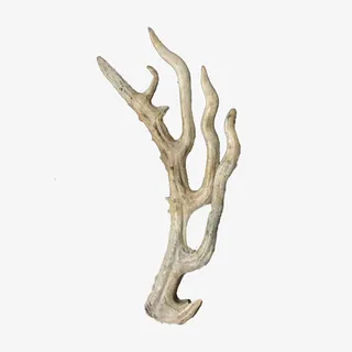 精美简单美观麋鹿角免抠
