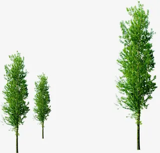 春天大树树林环保免抠