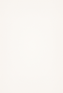 磨砂底纹纹理背景（1765×2616）高清