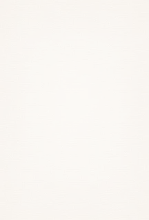 磨砂底纹纹理背景（1765×2616）高清