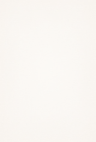 磨砂底纹纹理背景（1765×2616）高清