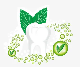 绿色护牙龈免抠