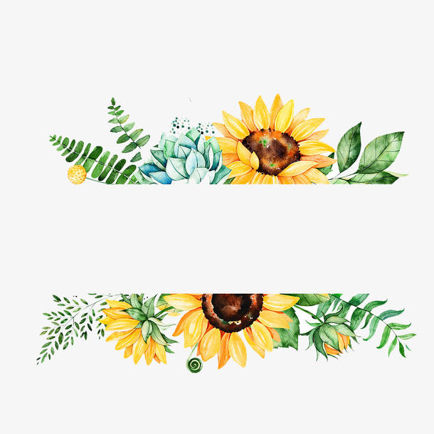 向日葵装饰元素免抠