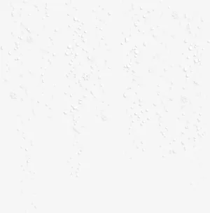 冬季雪花素材免抠