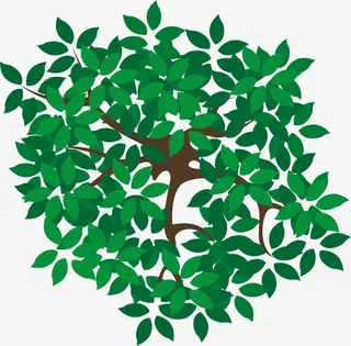 绿色春季绿叶树顶免抠