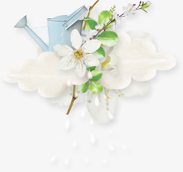 水壶绿叶白色小花免抠