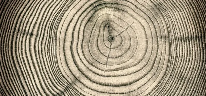 怀旧木头木桩纹理背景高清