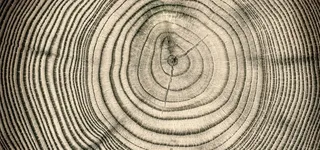 怀旧木头木桩纹理背景高清