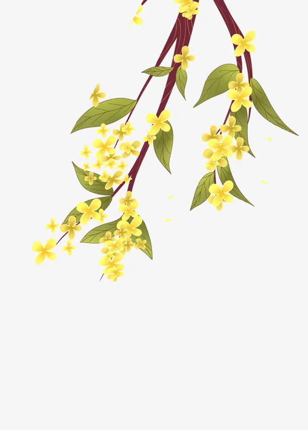 秋天金桂插画免抠