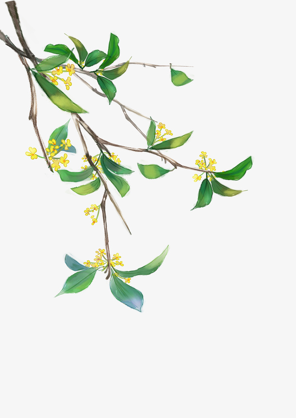 金桂桂花中秋免抠动植物植物元素