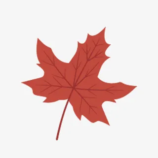 红色手绘枫叶落叶免抠