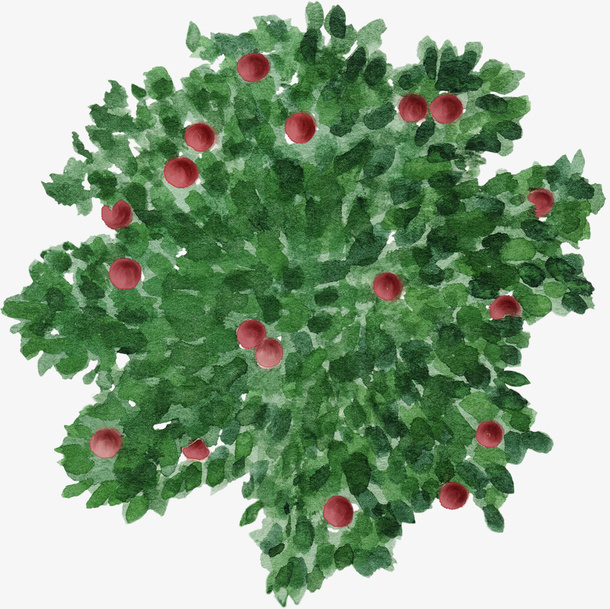 绿色果树杨梅水彩风手绘免抠