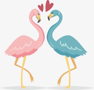 相爱甜蜜的火烈鸟免抠