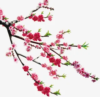 红色梅花元素免抠
