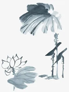 写意荷花免抠