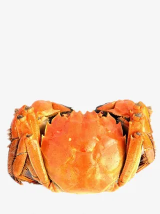 金秋大闸蟹免抠