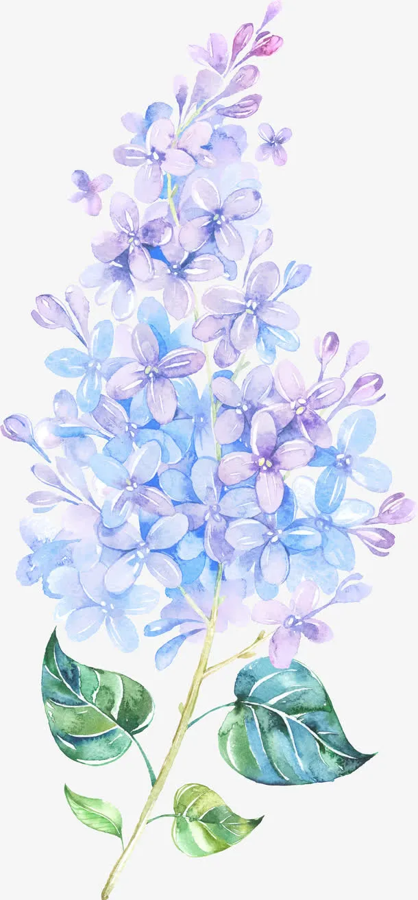 漂浮花免抠