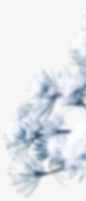 圣诞元素圣诞树免抠