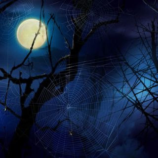 阴暗恐怖夜晚免抠