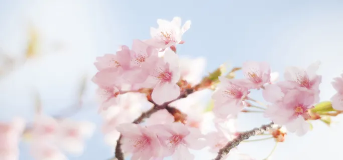 淘宝背景图高清