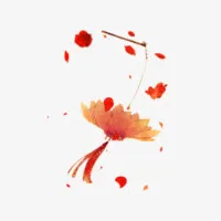 手提灯笼睡莲免抠