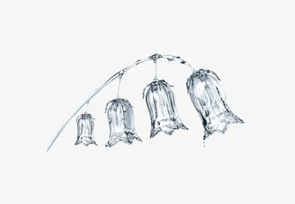 玫瑰花免抠