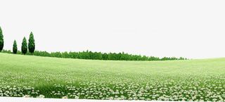 郊外春天清新风景花田免抠