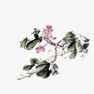 中国风国画水墨花草免抠