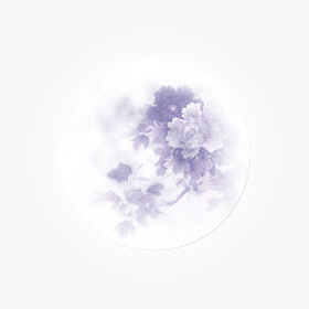 月亮菊花明月免抠