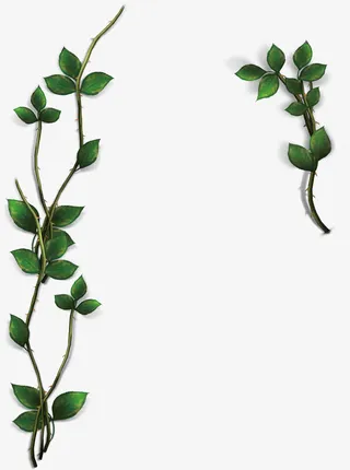 藤蔓边框免抠