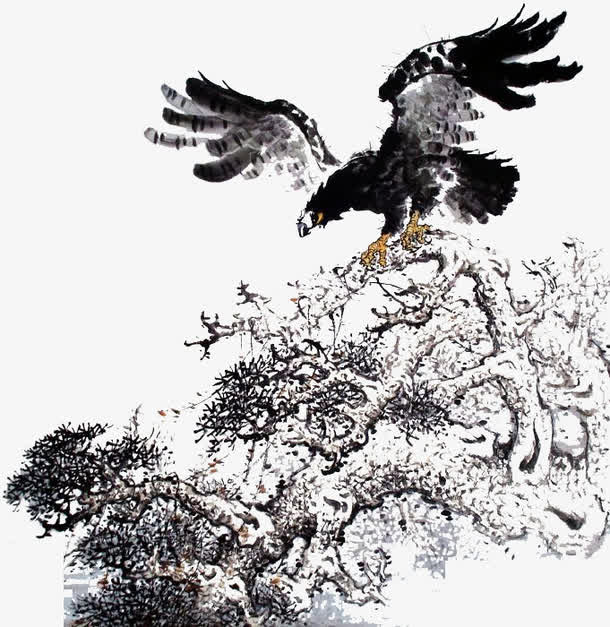 飞过丛林的海雕免抠