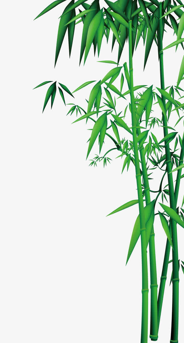 卡通竹子免抠