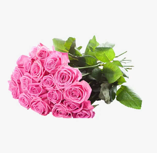 鲜花免抠