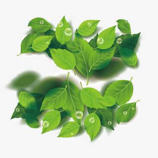 春夏秋冬简约树木矢量素材下载免抠