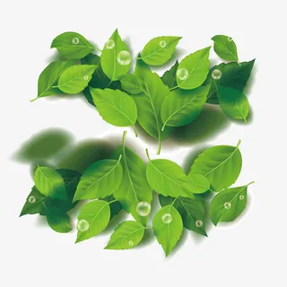 春夏秋冬简约树木矢量素材下载免抠