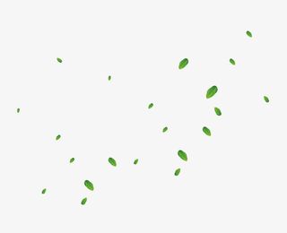 绿叶飞舞飘落漂浮素材免抠
