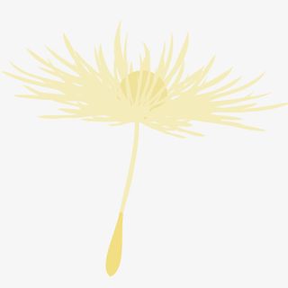 手绘卡通一朵黄色蒲公英免抠