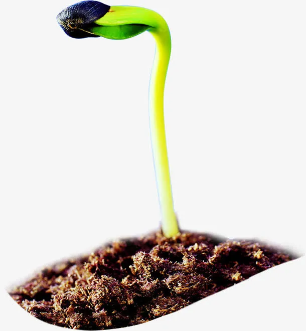 绿色发芽植物移动教育宣传单免抠