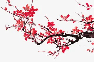 宣传展板梅花插图免抠