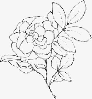 水墨花朵元素58免抠