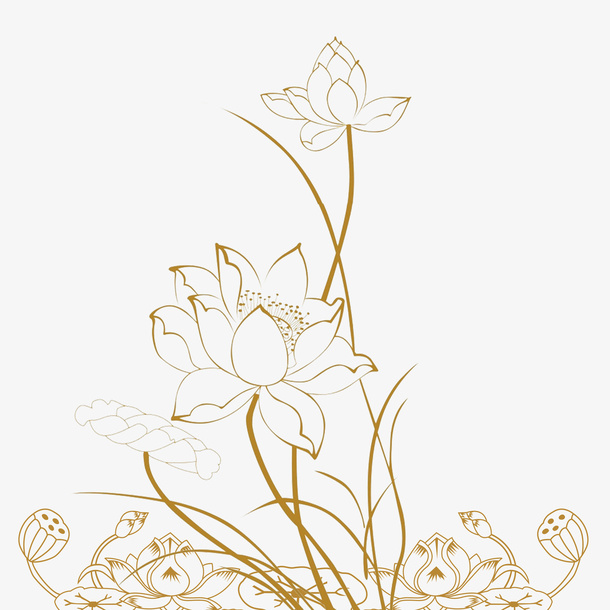 荷花 莲藕 透明荷花免抠