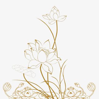 荷花 莲藕 透明荷花免抠