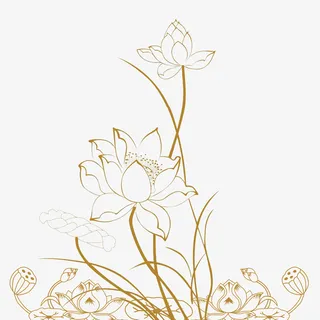 荷花 莲藕 透明荷花免抠